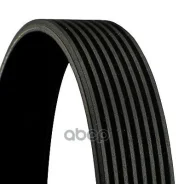 ������ ������������ [8PK1365] Continental ���. 8PK1365 8PK1365 ����