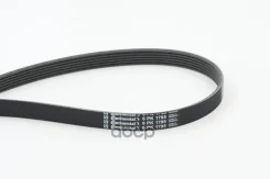 ������ ��������. contitech Continental ���. 6PK1795 6PK1795 ����