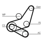 �������� ��������� ������ ��� FORD C-MAX 1.6 100 �. �. 07- Continental 6PK1059Elastt2 6PK1059ELASTT2 ����