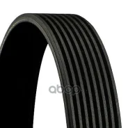 ������ ������������ Continental ���. 8PK2092 8PK2092 ����