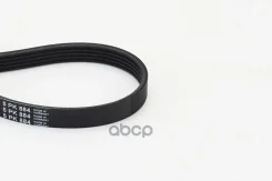 ������ ��������. contitech Continental ���. 5PK884 5PK884 ����