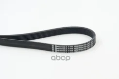 ������ ������������ ���������� Continental ���. 6PK1019Elast 6PK1019ELAST ����