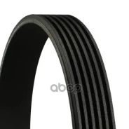 ������ ������������ FORD / Mazda / Mercedes-BENZ / Mitsubishi / Renault / Toyota 1987946035 ���� RU �-SG. ��50. �.05554/23 Continental ���. 6PK1775 6P...