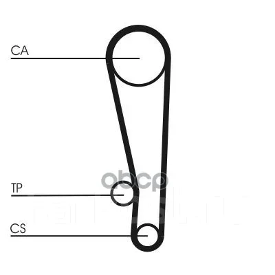 ������ ��� Continental ���. CT1013 CT1013 ����