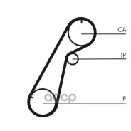 ������ ��� Contitech Mazda MPV 2.5TD 95-99 Continental ���. CT1020 CT1020 ����