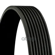������ ������������ [8PK1550] Continental ���. 8PK1550 8PK1550 ����