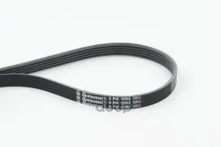 ������ ������������ Contitech Continental ���. 5PK1592 5PK1592 ����