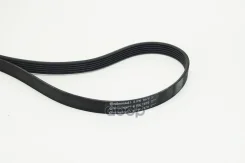 ������ ������������ Contitech Continental ���. 6PK1670 6PK1670 ����