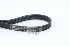 ������ ��������. Contitech Continental ���. 6pk1029elast 6PK1029ELAST ����