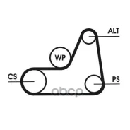 ������ ��������. Contitech Continental ���. 6pk1042elast 6PK1042ELAST ����