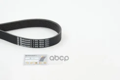 ������ ��������. Contitech Continental ���. 7pk1855 7PK1855 ����