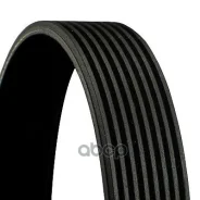 ������ ������������ Continental ���. 8pk1755 8PK1755 ����