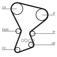 ������ ��� Continental ���. CT545 CT545 ����