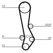 ������ ����������������� Contitech Continental ���. CT876 CT876 ����