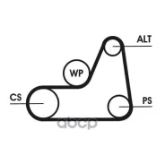 ������ ������������ Continental ���. 6PK1042Elast 6PK1042ELAST ����