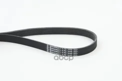������ ��������. Contitech Continental ���. 6pk1440 6PK1440 ����