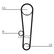 ������ ��� Contitech CT1017 Continental ���. CT1017 Continental CT1017 CT1017 ����