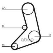 ������ ���! 126x254 Fiat Regata/Ritmo, Lancia Delta/Prizma 1.6D/TD 83-93 Continental ���. CT542 CT542 ����