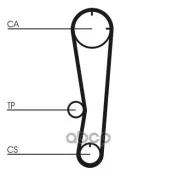 ������ ��� Contitech CT602 (B63012205A) Continental ���. CT602 CT602 ����