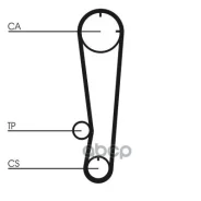 ������ ��� Contitech Continental ���. ct603 CT603 ����