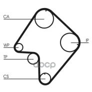 ������ ��� (162 ���. 25mm) Continental ���. CT832 CT832 ����