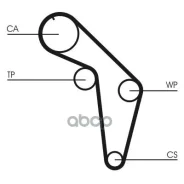 ������ ��� Contitech Continental ���. ct926 CT926 ����