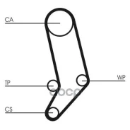 �������� ����� ��� Contitech CT939K4 CT939K4 ����