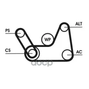 �������� ������������� ����� contitech Continental ���. 6PK1019Elastt1 6PK1019ELASTT1 ����