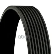 ������ ������������ [8PK1183] Continental ���. 8PK1183 8PK1183 ����