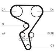 ������ ��� Contitech CT724 (06 36 567) Continental ���. ct724 CT724 ����