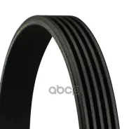 ������ ��������. contitech Continental ���. 5PK1025 5PK1025 ����