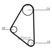 ������ ����������������� Contitech Continental ���. CT558 CT558 ����