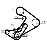 ������ ��� Continental ���. CT938 CT938 ����