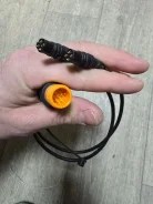 ������� �������. ����