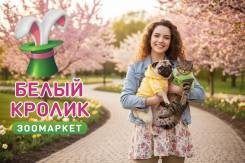 ��������-������. �� ��������� �.�. ����� ���������� 56� ����