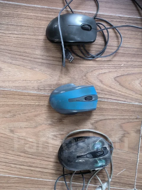 ���������. ����