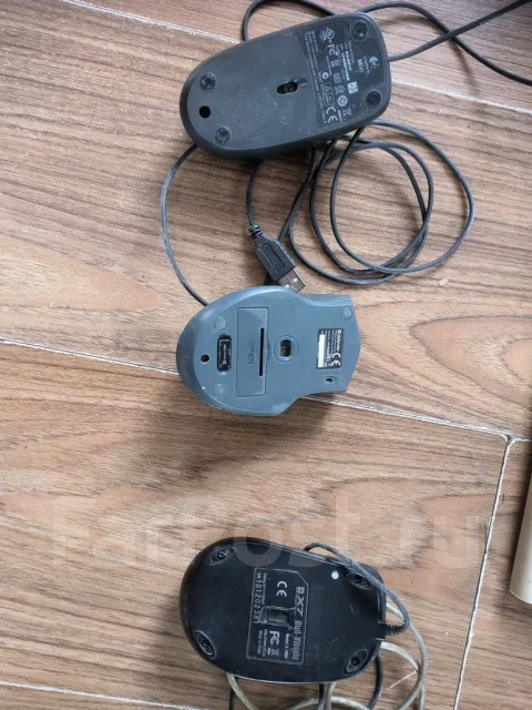 ���������. ����