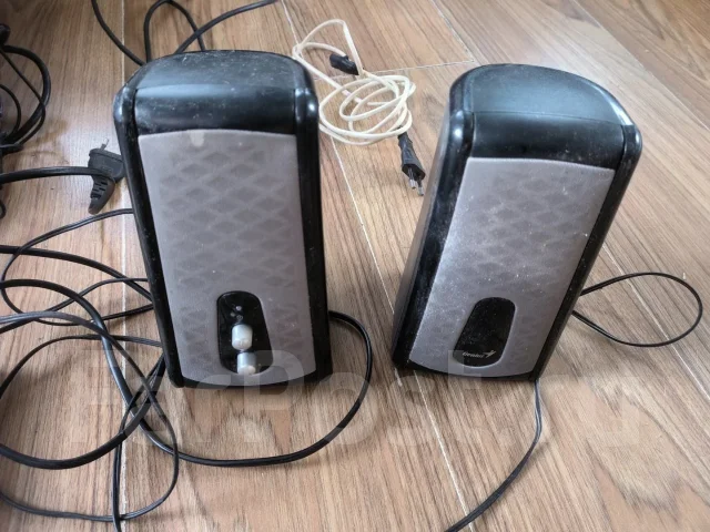 ���������. ����