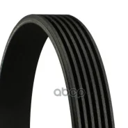������ ������������ Continental ���. 6PK1743 6PK1743 ����