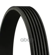������ ������������ Contitech Continental ���. 6PK2125 6PK2125 ����