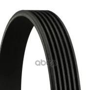 ������ 2077 6PK BMW, Chrysler, Dodge, FORD, JEEP, Mercedes-BENZ, Toyota, VAG Continental ���. 6PK2077 6PK2077 ����