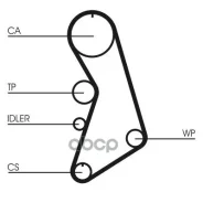 �������� ����� ��� CT909WP2 CT909WP2 ����