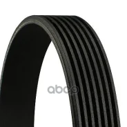 ������ ������������ Continental ���. 7PK2842 7PK2842 ����