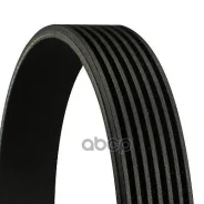 ������ �/� Continental ���. 7PK1516 7PK1516 ����