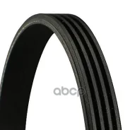 ������ ��������. contitech Continental ���. 4PK1290 4PK1290 ����