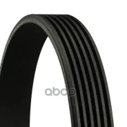 ������ ��������. contitech Continental ���. 6PK2236 6PK2236 ����