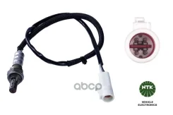 ������-���� [OZA851-EE16] Ford 1.6Ti-2.3 04- NGK ���. 91213 91213 ����