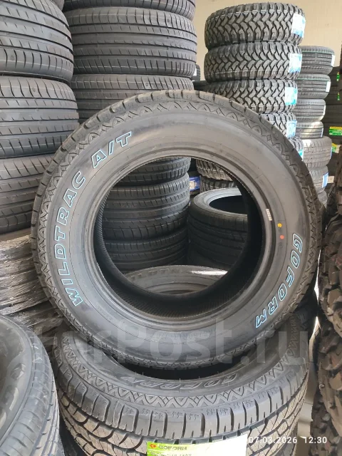 Goform WildTrac A/T01. ������, 2026 ���, ����� ����