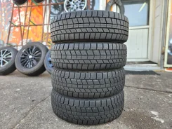 NorthTrek N5. ������, ��� �����, 2024 ���, �/�, ����� �� 5 % ����