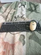 ����������. ����